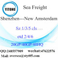 Shenzhen Port Sea Freight Shipping To New Amsterdam